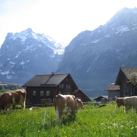 Chalet Baergblick Grindelwald Ngoại thất bức ảnh
