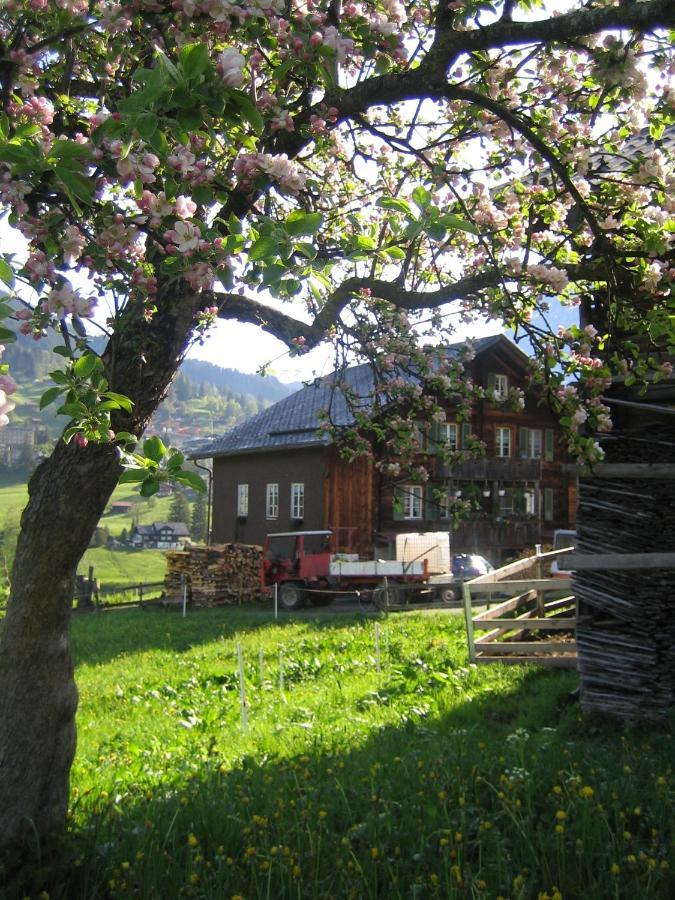 Chalet Baergblick Grindelwald Ngoại thất bức ảnh