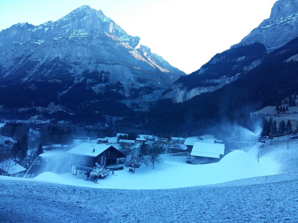 Chalet Baergblick Grindelwald Ngoại thất bức ảnh