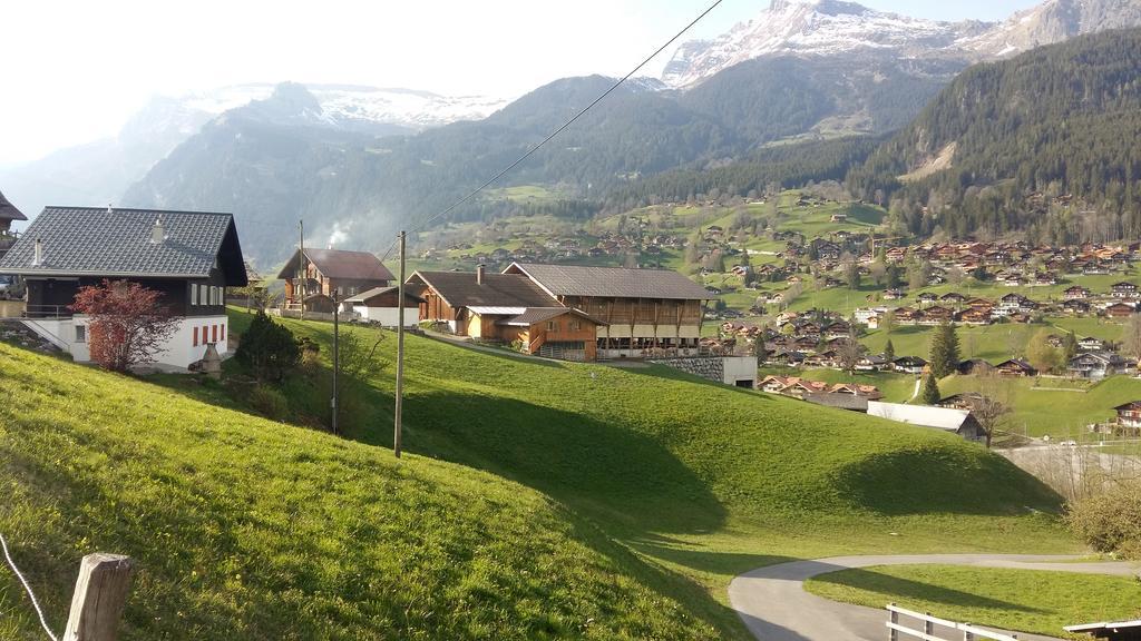 Chalet Baergblick Grindelwald Ngoại thất bức ảnh